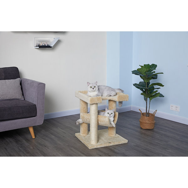 Go Pet Club Premium 23" Carpeted Cat Tree & Reviews Wayfair